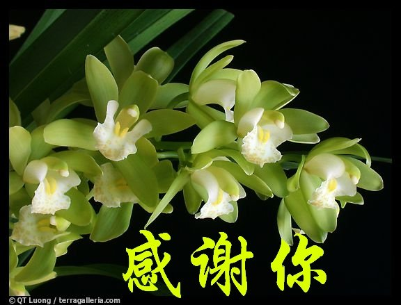 无标题2.bmp