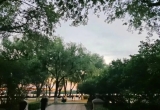反网络暴力法来了：拟将反网暴纳入学校课程体系、不得操纵多个账号虚假评论实施网暴